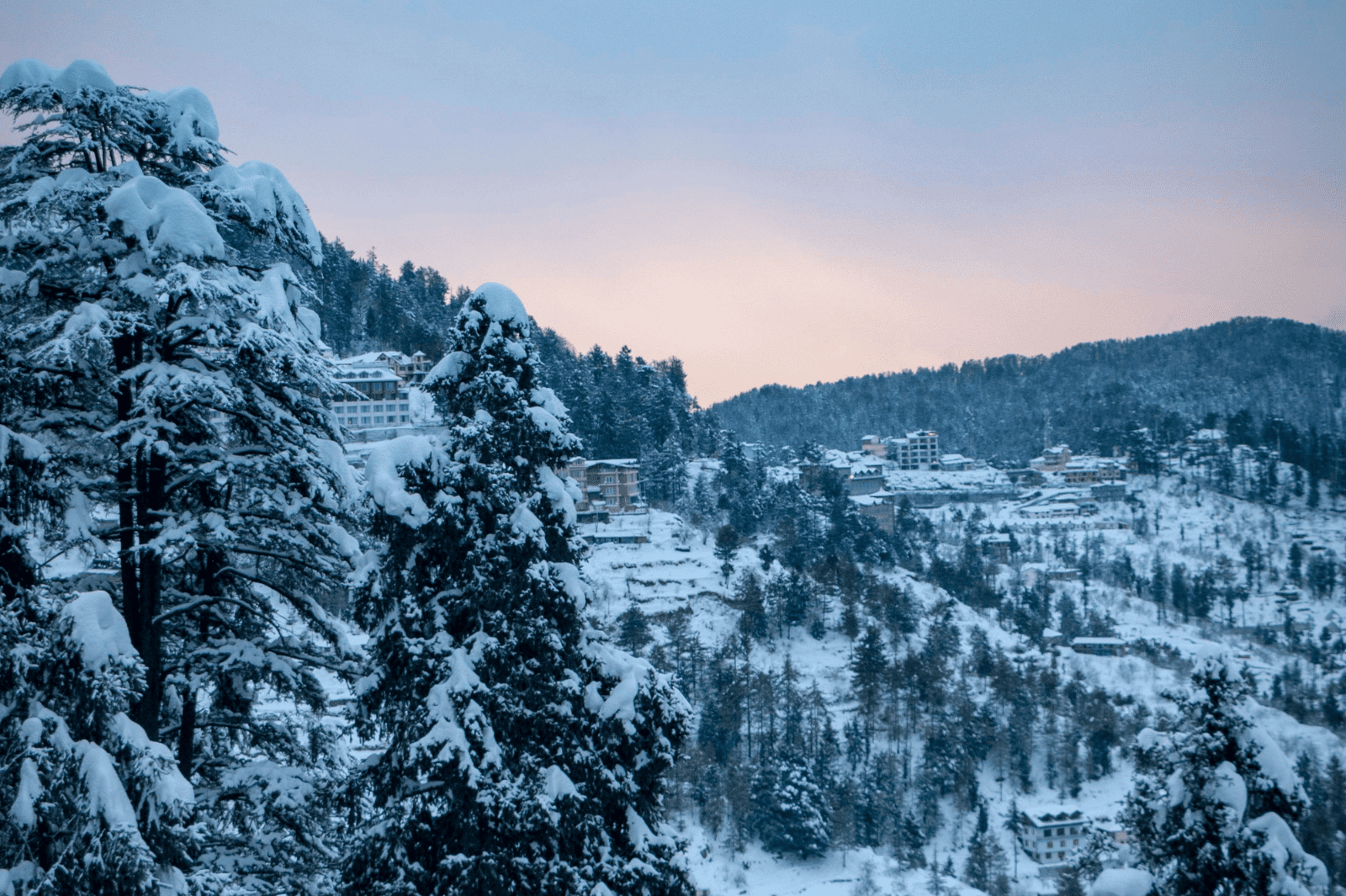 Shimla